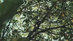 Nature <3