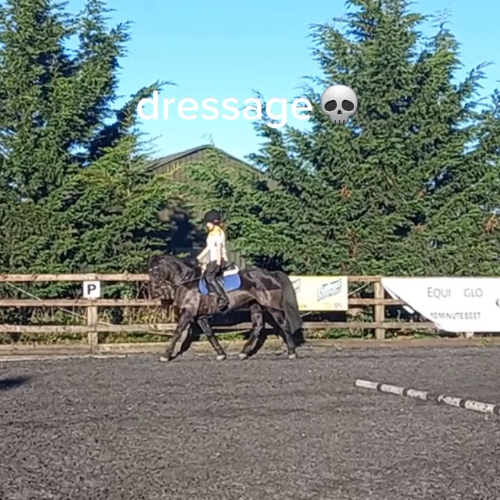 I love both other di