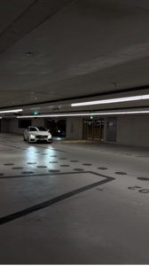 Coche ismático