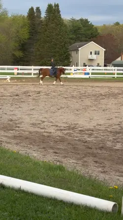 i NEED cc pro🥲🥲