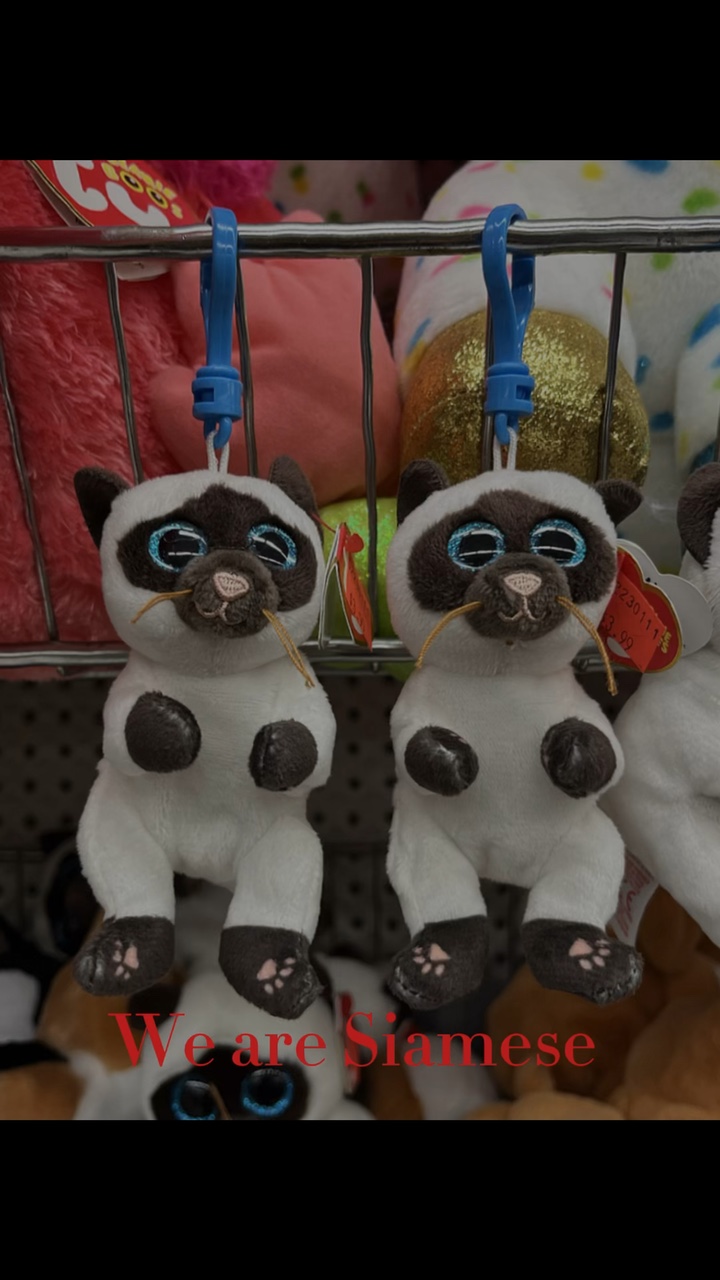 We are Siamese