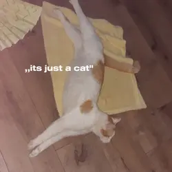 ,,its just a cat"