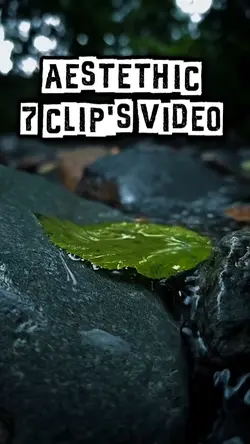 7 video Aesthetic