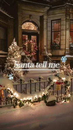 Santa tell me 📷14枚