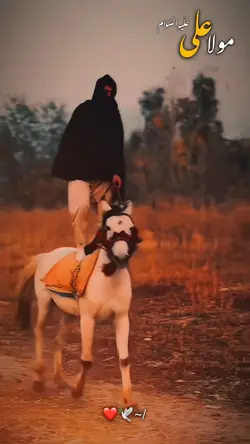 MOLA ALI❤️‍🔥♥️