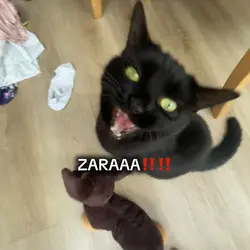 ZARAAA🔥🔥