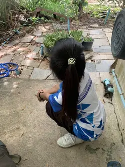 เสนียดติดด