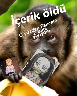 İÇERİK YOĞK 