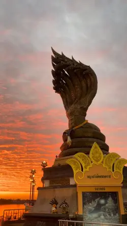 โซโล่พิณ นะหน้าทอง