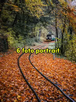 6 foto portrait