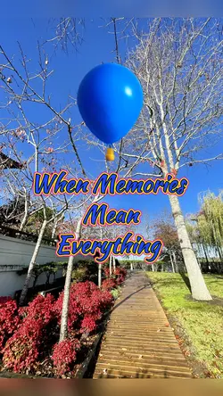 When Memories Mean 