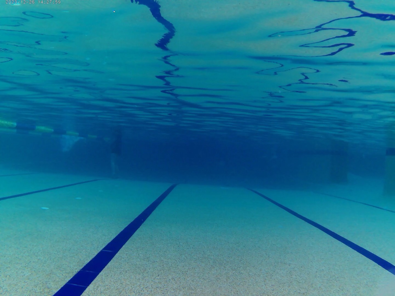 Who’s the best one?