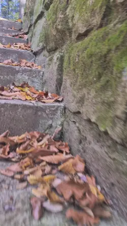 peisaje de toamna