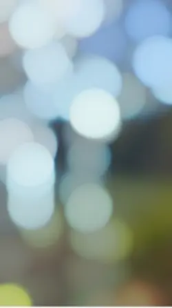 İşte sana bahsettiği