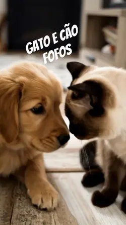 Gato e cão fofos