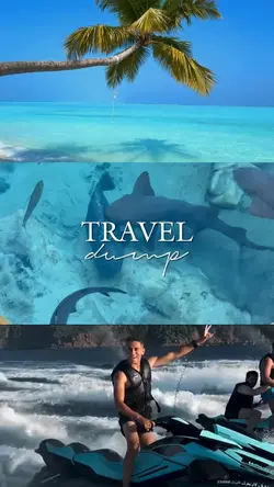 Travel Dump
