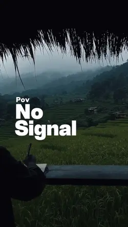POV No Signal