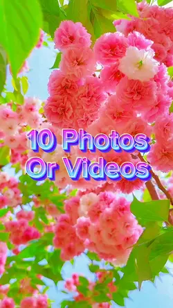 10 Video Slides