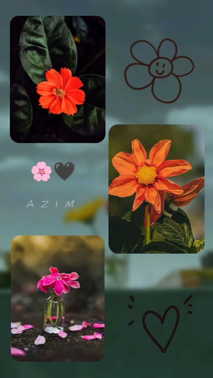 নতুন ভিডিও ছবি দাও 