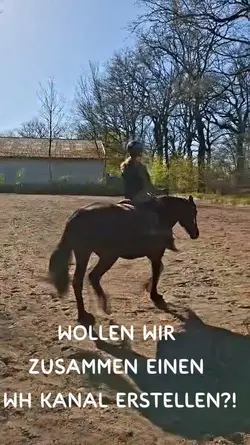 mein WA Kanal