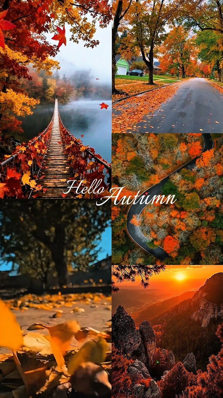 Hello autumn