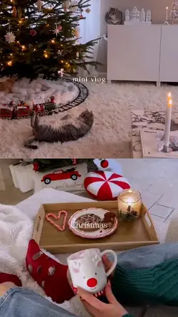 mini vlog