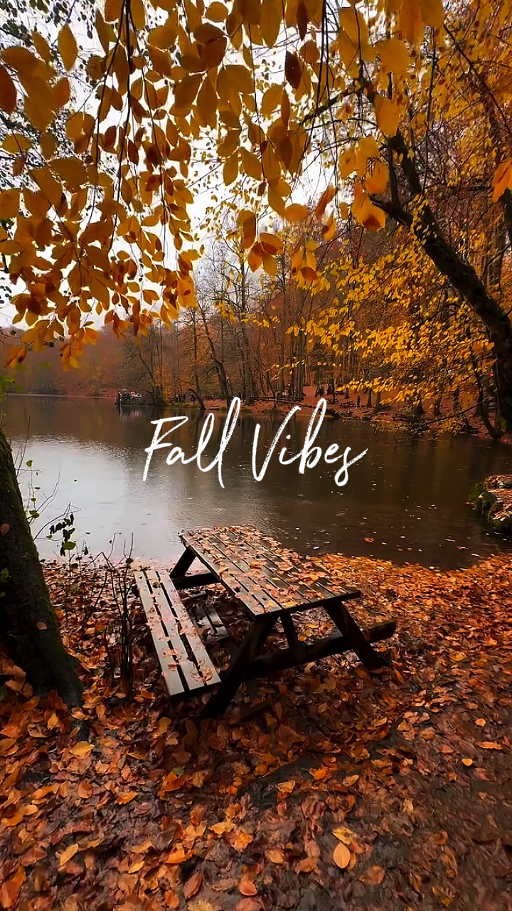 Herbst-Vibes
