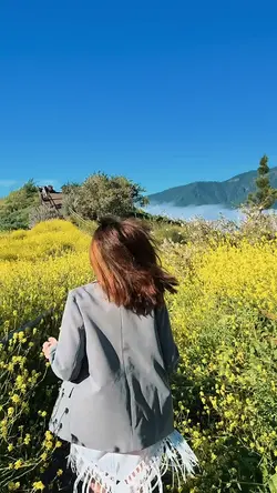 slowmotion trend
