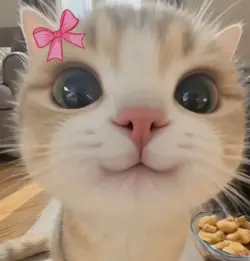 lalalalalalala