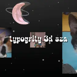 3d typography sza