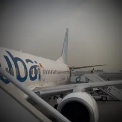 Portwave shadow lady