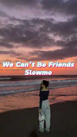 We Can't Be Friends