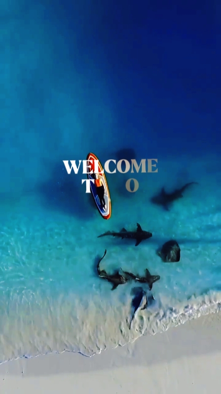 maldives travel 