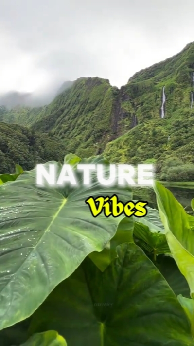 nature vibes 7 clip