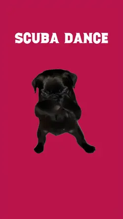 PUG SCUBA DANCE