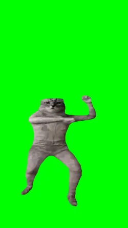 Cat Gangnam style