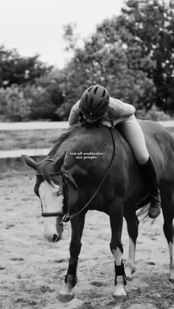 soulmates ❤️‍🩹