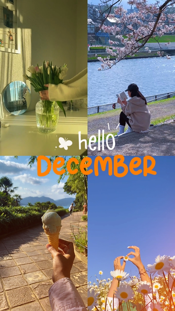 Olá dezembro 