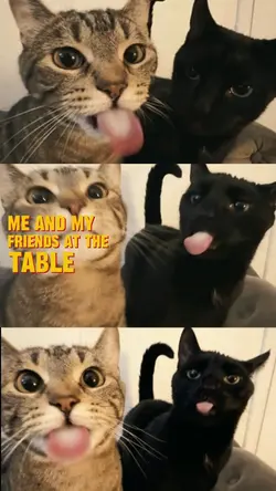 me and my friend