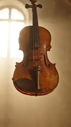 Violin