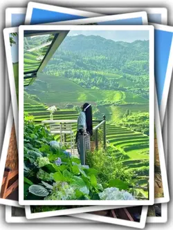 قالب البوم الصور 