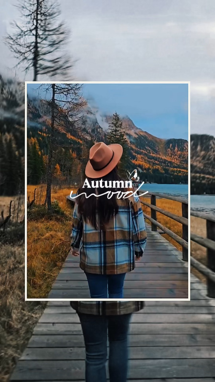 Autumn Mood 4K