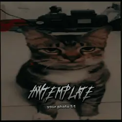 jj sound cina trend!