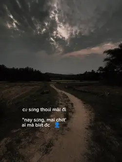 cứ sống hết mình đi 