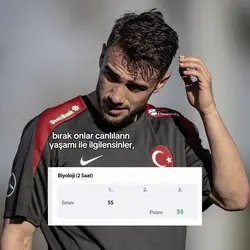 Tarihh