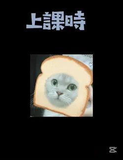 上課/寫作業