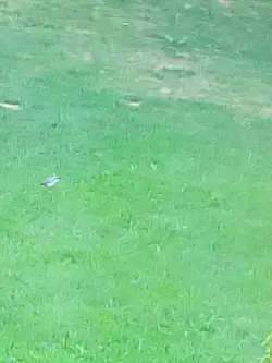 21 min mi to zajeło