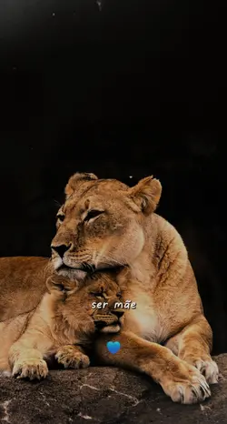 mãe de menino 