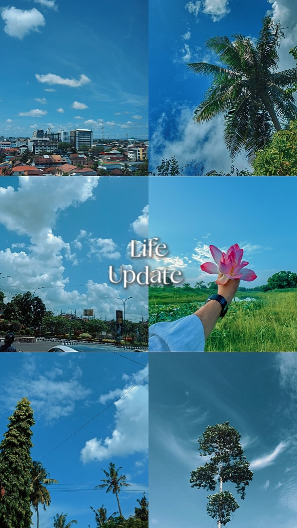 라이프 업데이트 