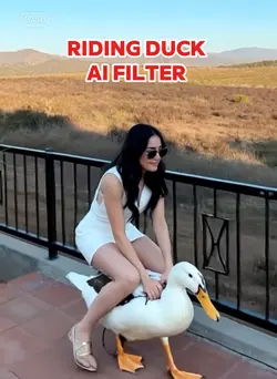 riding duck filter 